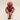 EFTHIMIUS
