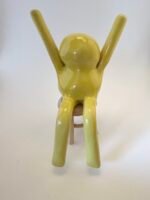 PITUCUS