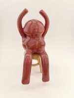 batch_IMG_8638 COLISUS