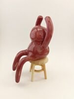 batch_IMG_8639 COLISUS