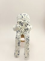 batch_IMG_1071 COTULUS