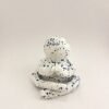 batch_IMG_3472 PINALUS