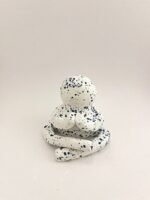 batch_IMG_3472 PINALUS